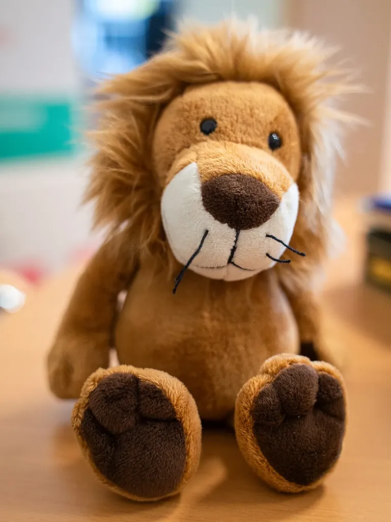 zeigt eine Großaufnahme des Schulmaskottchens, dem Löwen, als Kuscheltier.